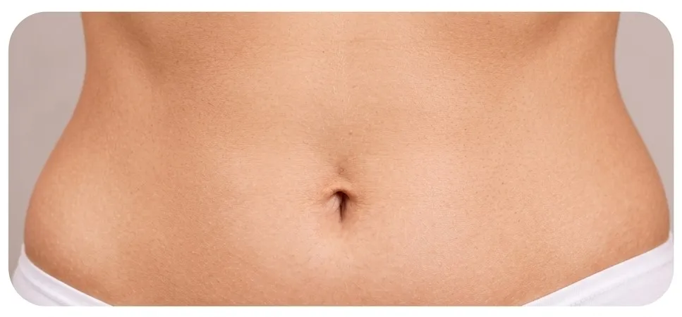 Abdomen