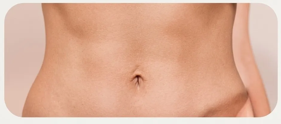 Abdomen